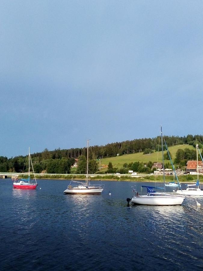 Apartman U Lipna, Pro Cyklisty, Motorkare Frymburk Esterno foto
