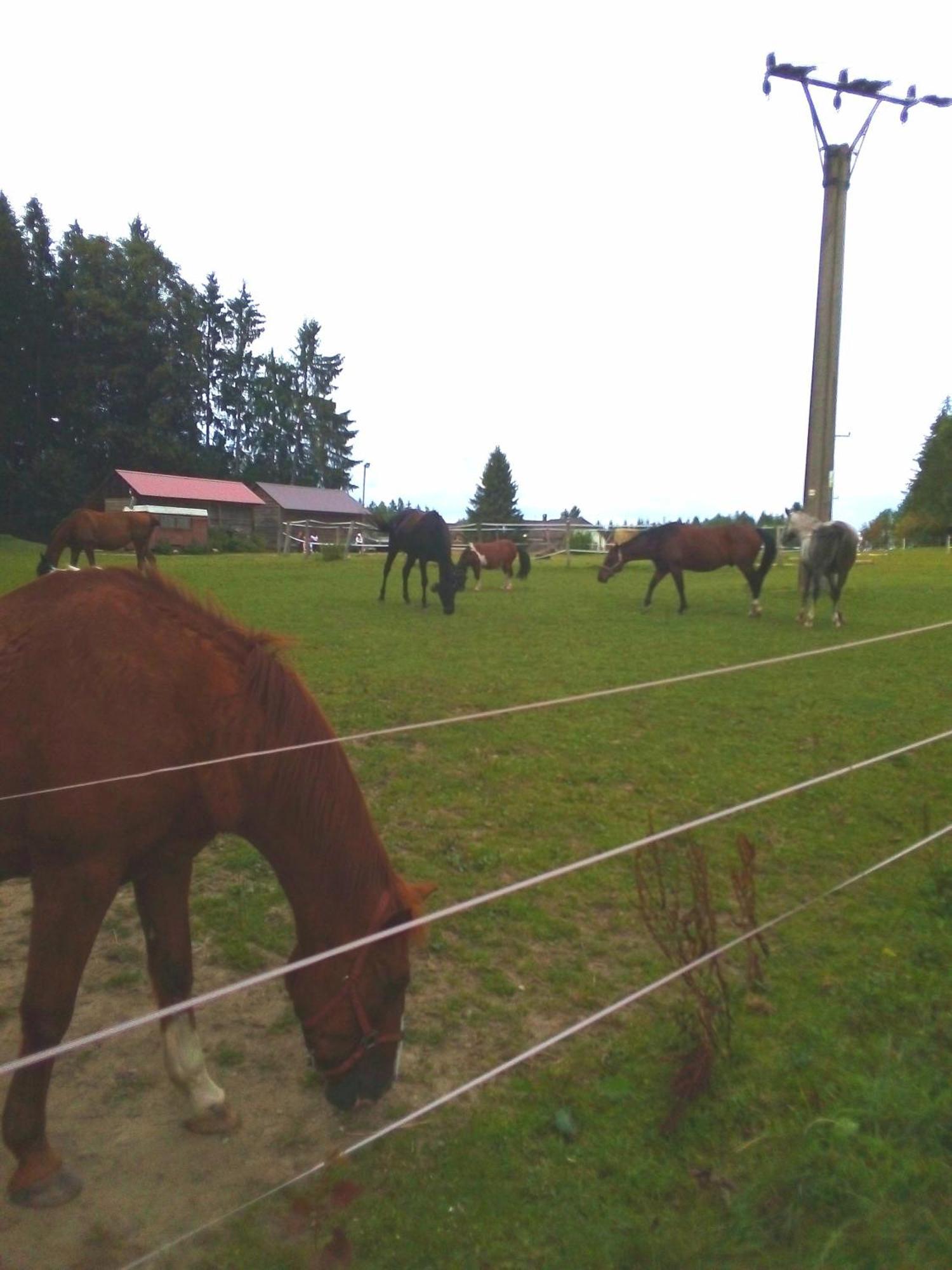 Apartman U Lipna, Pro Cyklisty, Motorkare Frymburk Esterno foto