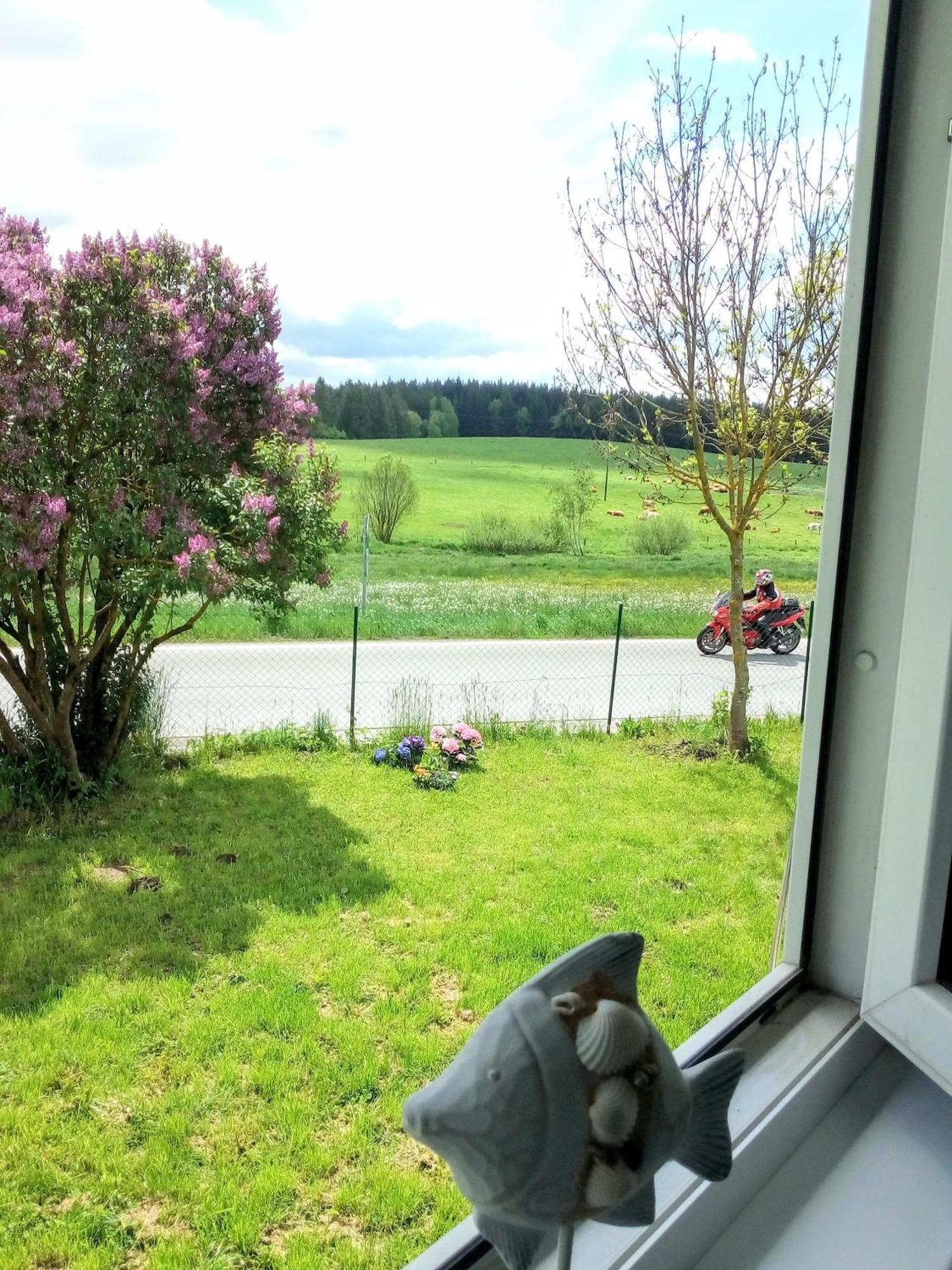 Apartman U Lipna, Pro Cyklisty, Motorkare Frymburk Esterno foto